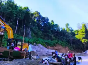 2 Tahun Terakhir, Nagan Raya Kehilangan 972 Hektare Hutan