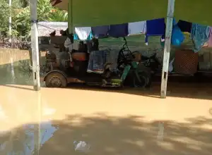 Banjir Bireuen Rendam 3 Ribu Rumah dan Seribu Jiwa Mengungsi