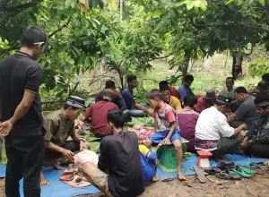 FDP Salurkan 81 Hewan Kurban ke Perbatasan dan Kamboja