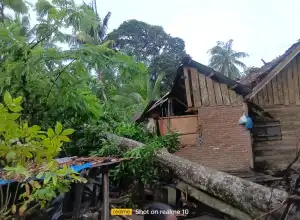 Hujan Deras Disertai Angin Kencang Rusak 173 Bangunan di Tanah Luas