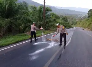 Polisi Tindak Truk Tangki Penyebab Tumpahan CPO di Jalan Nasional Tapaktuan