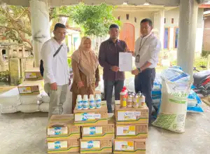 PGE Bantu Bibit Padi dan Pupuk Untuk Petani Melalui Program Budidaya Padi Semi Organik