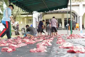 Unimal Kurban 13 Ekor Sapi di Kampus Reuleut, 8 Lainnya untuk Warga Sekitar