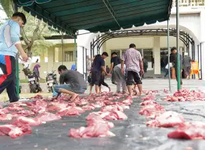 Unimal Kurban 13 Ekor Sapi di Kampus Reuleut, 8 Lainnya untuk Warga Sekitar