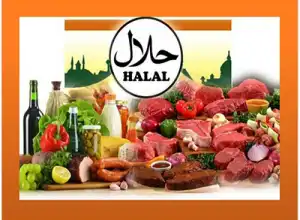 Kemenag Pastikan Sistem Tracing Produk Halal Berbasis Ilmiah