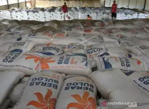 Bulog Minta Pemda Pakai Beras Cadangan Guna Stabilisasi Harga