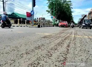 Polisi Selidiki Tumpahan Cangkang Sawit Sepanjang 3 Km di Aceh Barat