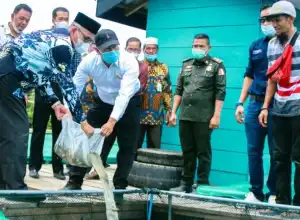 Nagan Raya Tebar 110 Ribu Bibit Ikan Nila di Danau Laut Tadu