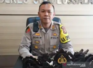 Polisi Masih Cari Mobil Asal Aceh Masuk Jurang di Sumut