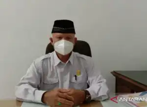 Petani di Gayo Lues Keluhkan Anjloknya Harga Minyak Serai