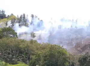 Hutan Lindung Seluas 19,5 Hektare di Aceh Tengah Terbakar