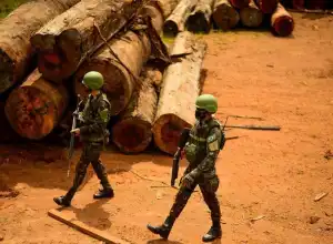 Hakim Brazil Cabut Paspor Mantan Menteri Lingkungan Hidup