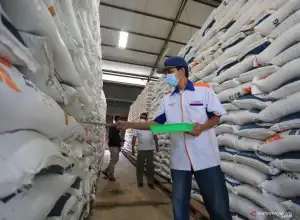 Kementan: Stok Beras Aman Jelang Natal dan Tahun Baru