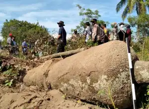BPCB Aceh Observasi Batu Nisan Kuno di Gerbang Tol Sibanceh