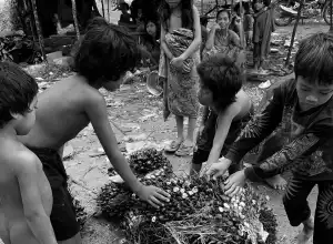 Nestapa Orang Rimba: Dicap Pencuri dan Kelaparan di Kebun Sawit
