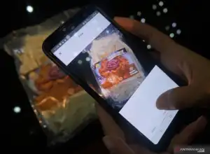 Menkop UKM: Digitalisasi Dorong UMKM Naik Kelas