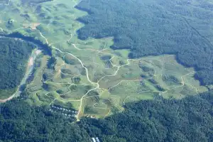 KLHK: Deforestasi di Indonesia 115.459 Hektare