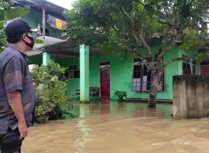 BPBD: 7.915 Warga Aceh Timur Mengungsi Akibat Banjir