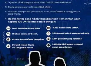 Infografis: Polemik Dana Hibah untuk OKP