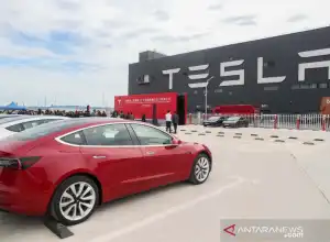 Tesla Tarik 280.000 Mobil dari Pasar China
