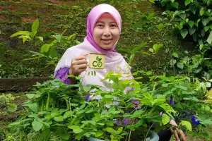 Peneliti: Agrobisnis Usaha Menjanjikan Selama Pandemi