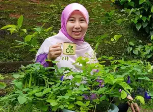 Peneliti: Agrobisnis Usaha Menjanjikan Selama Pandemi