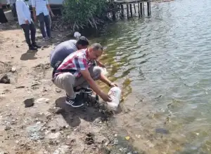 PLN Aceh Pasang Listrik Gratis Untuk Petani Tambak