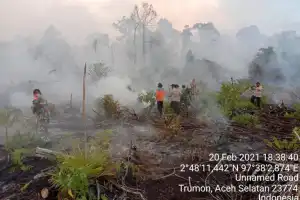 Karhutla di Aceh Selatan Capai 60 Hektar, Pemerintah Tetapkan Status Siaga