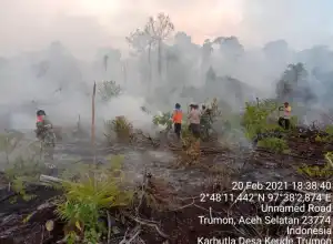 Karhutla di Aceh Selatan Capai 60 Hektar, Pemerintah Tetapkan Status Siaga
