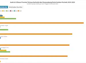 Statistik: 10 Provinsi Terluas Karhutla dan Emisi 2016-2020