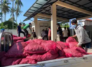 Bea Cukai Hibahkan 17 Ton Bawang Impor Untuk Pesantren