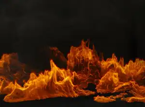 Terorisme Perempuan: Akar Ketimpangan dan Dendam
