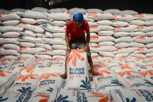 Dilema Bulog: Tak Berwenang Tolak Impor Beras
