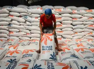 Dilema Bulog: Tak Berwenang Tolak Impor Beras