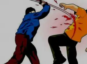 Warga Aceh Tamiang Kritis Diduga Dibacok Orang Gila