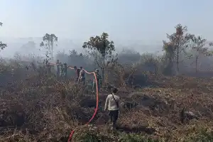 Polda Aceh Bakal Tindak Pelaku Pembakaran Hutan