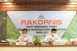 DLHK Diminta Susun Strategi Pelestarian Hutan dan Lingkungan Hidup