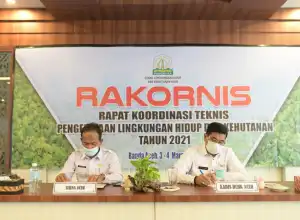 DLHK Diminta Susun Strategi Pelestarian Hutan dan Lingkungan Hidup