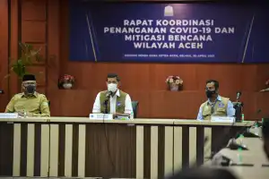 BNPB: Mitigasi Bencana di Aceh Harusnya Berbasis Vegetasi