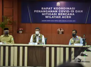 BNPB: Mitigasi Bencana di Aceh Harusnya Berbasis Vegetasi