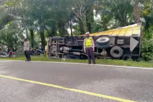 Bocor Ban, Truk Bermuatan 10 Ton Buah Sawit Terjungkal di Nagan Raya