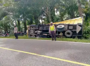 Bocor Ban, Truk Bermuatan 10 Ton Buah Sawit Terjungkal di Nagan Raya