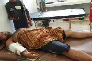Asisten Mahout Diserang Gajah Liar di Cot Girek, Aceh Utara