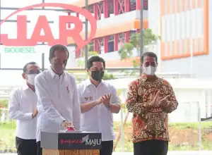 Pemerintah Indonesia Komitmen Tinggalkan Energi Fosil