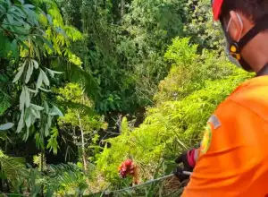 SAR Temukan Tiga Korban Minibus Masuk Jurang di Sumut