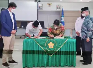 Kerjasama dengan USK, Bireuen Kembangkan Nilam Kualitas Ekspor
