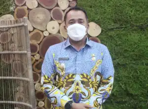 Wakil Walkot Medan: Pertumbuhan UMKM Harus Digalakkan