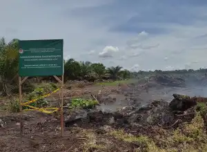 Perambahan SM Rawa Singkil Didesak Segera Proses Penegakan Hukum