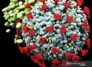 Epidemiolog: Kombinasi Vaksin dan Prokes Bisa Cegah Omicron