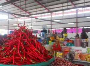 Harga Cabai di Banda Aceh Turun